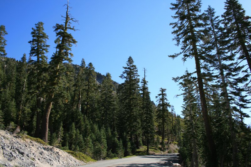 Lassen 361.jpg