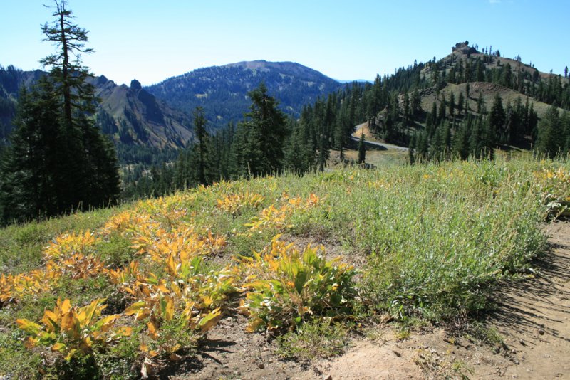 Lassen 375.jpg