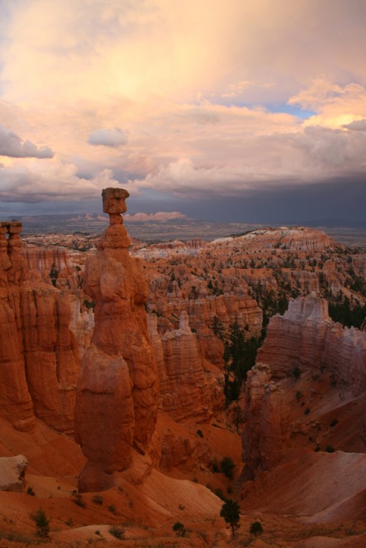 Hiking the Navajo Loop