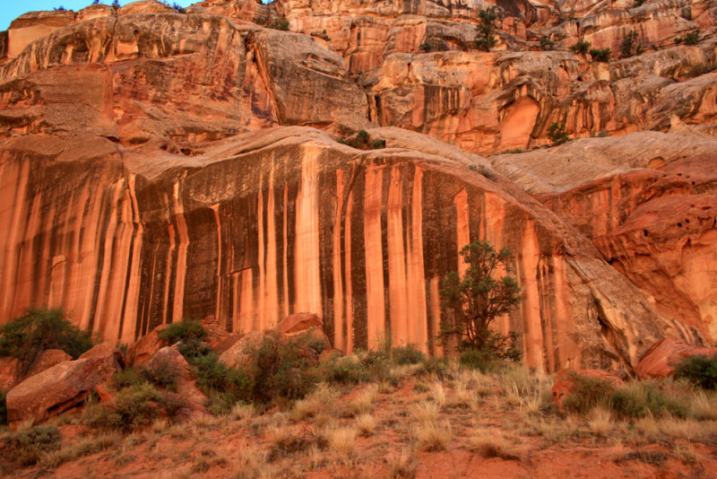 Driving the Capitol Gorge
