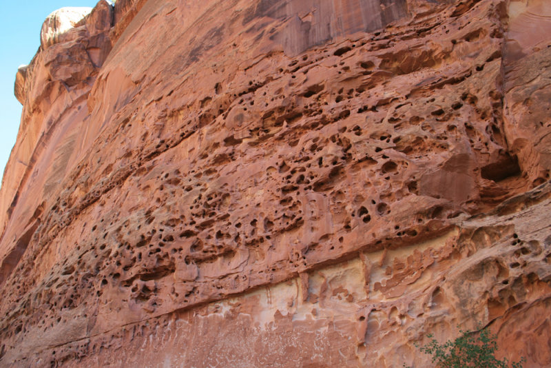 Driving the Capitol Gorge
