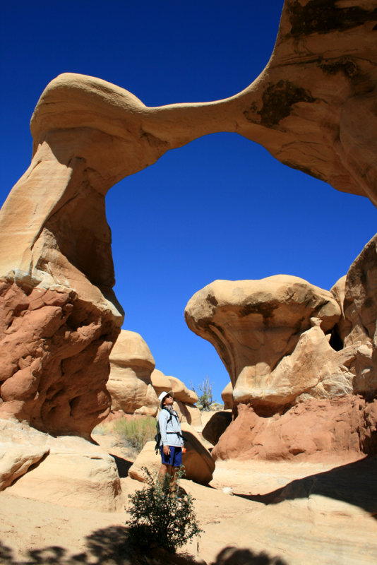 The Devils Garden