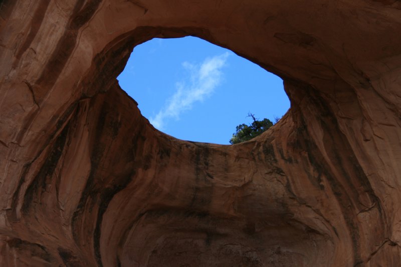 Bowtie Arch