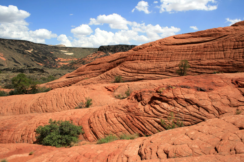 Hking the sandstone formations of Snow Canyon