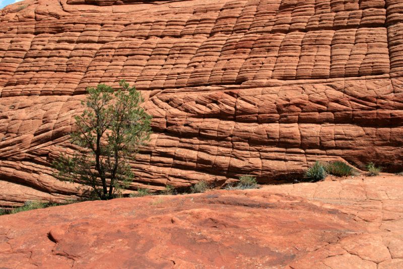 Hking the sandstone formations of Snow Canyon
