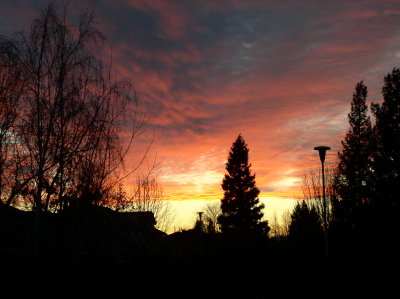 Serendipitous Sunset