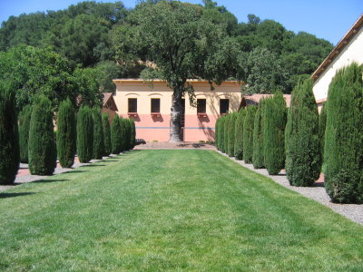 Check out the grounds!
