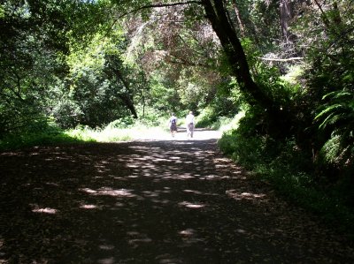 In the shadows of the trail.