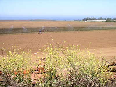 Planting by hand.