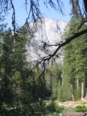 On trail toTokopah Falls.