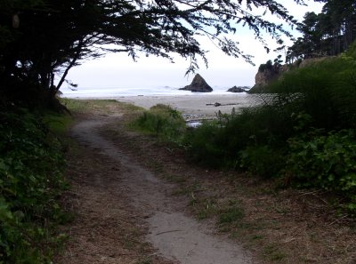Path leading to Private Cove