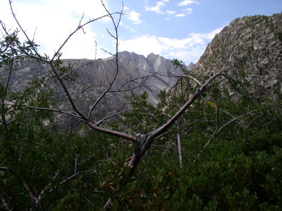 P7240200.JPG