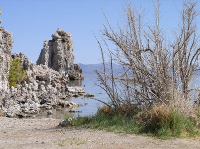 Tufa's on the shore of the receding lake.