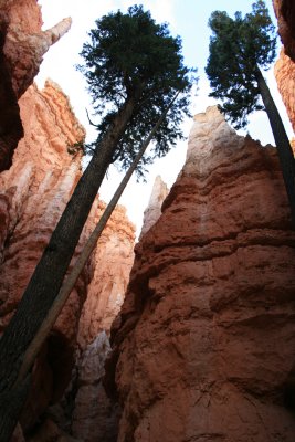 Hiking the Navajo Loop