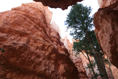 Hiking the Navajo Loop