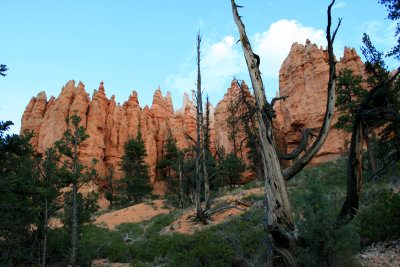 Hiking the Navajo Loop