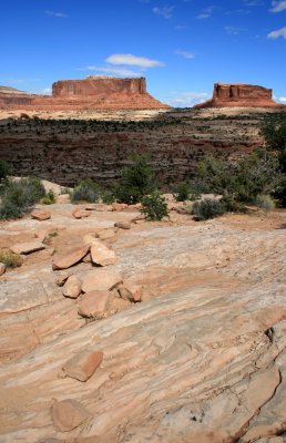 Monitor and Merrimac Viewpoint