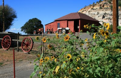On the road to Capitol Reef