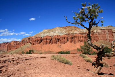Panorama Point at Capitol Reef
