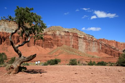 Panorama Point at Capitol Reef