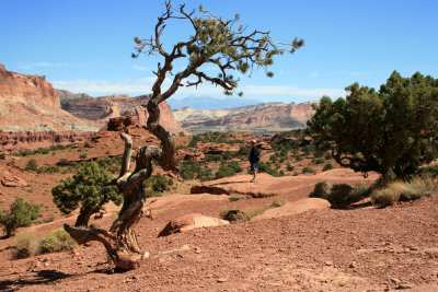 Panorama Point at Capitol Reef