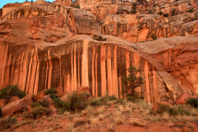 Driving the Capitol Gorge