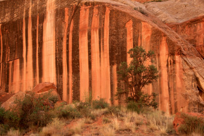 Driving the Capitol Gorge