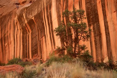 Driving the Capitol Gorge
