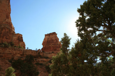Driving the Capitol Gorge