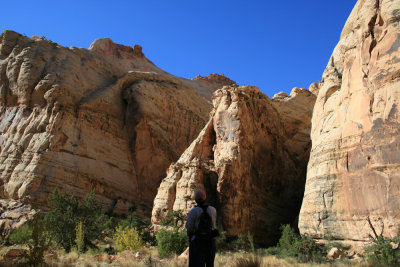 Driving the Capitol Gorge