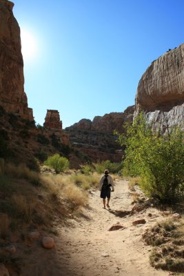 Driving the Capitol Gorge