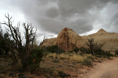 Hike to Hickman Bridge
