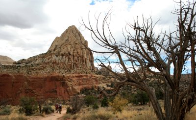 Hike to Hickman Bridge