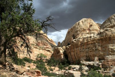 Hike to Hickman Bridge