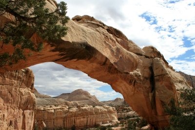 Hickman Bridge