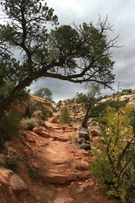 Hiking Cohab Canyon