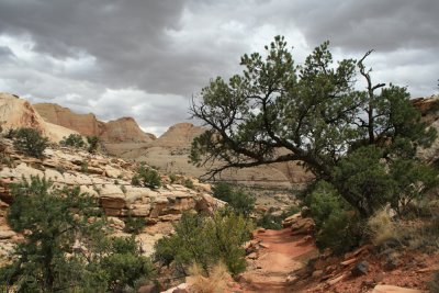 Hiking Cohab Canyon