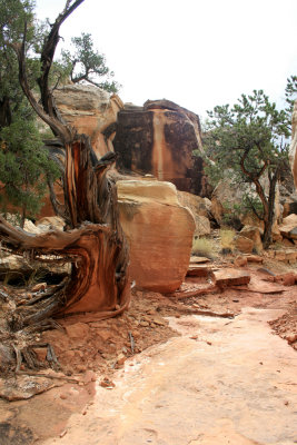 Hiking Cohab Canyon