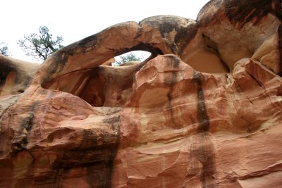 Hiking Cohab Canyon