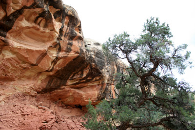 Hiking Cohab Canyon