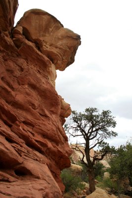 Hiking Cohab Canyon
