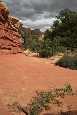 Hiking Cohab Canyon