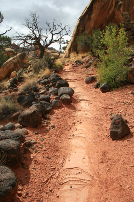Hiking Cohab Canyon