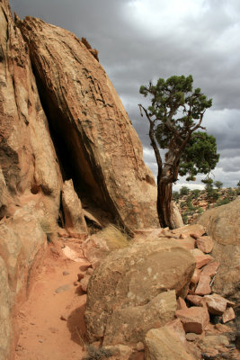 Hiking Cohab Canyon