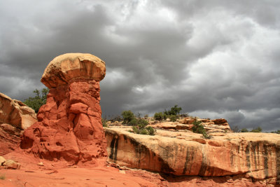 Hiking Cohab Canyon