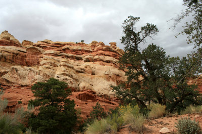 Hiking Cohab Canyon