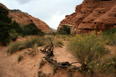 Hiking Cohab Canyon
