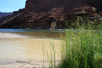 Lee's Ferry area and the Colorado river