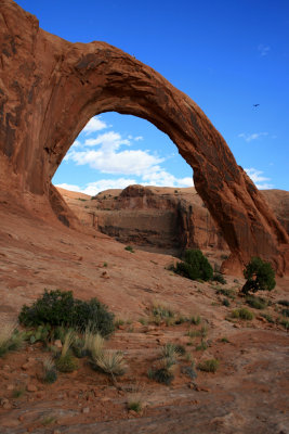 Corona Arch