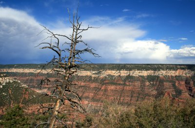 Views along the rim walk